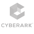 Cyberark-Gris